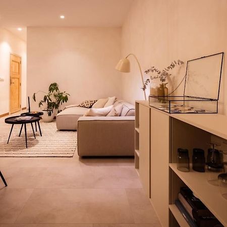 Appartement Met Tuin In Haarlem Centrum מראה חיצוני תמונה