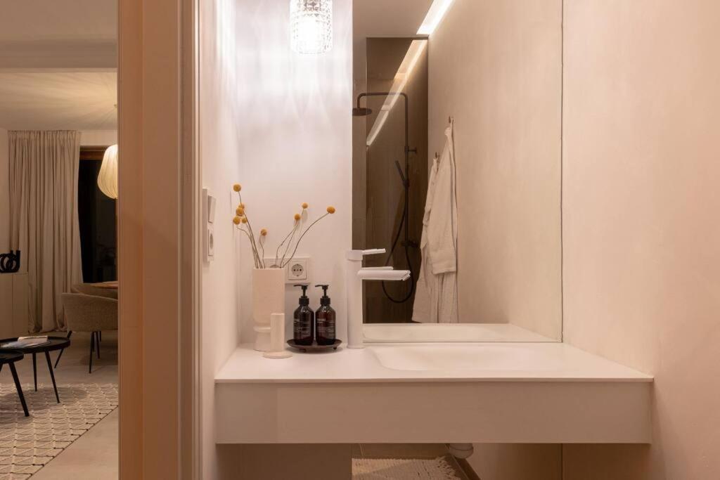 Appartement Met Tuin In Haarlem Centrum מראה חיצוני תמונה