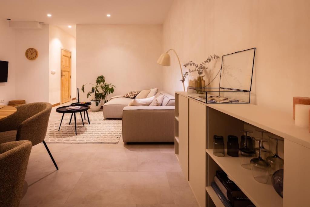 Appartement Met Tuin In Haarlem Centrum מראה חיצוני תמונה